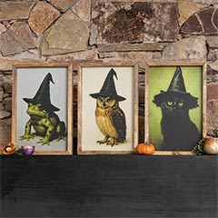 Bewitching Portrait Trio Image 1