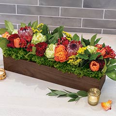 Autumn Jardin Image 1