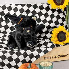 Winnie Witch Cat & Swaddle Image 1