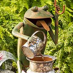 A Walk In The Rain Frog Fountain Image 2