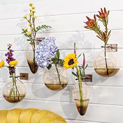 Blown Glass Wall Vases Image 1