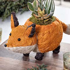 Fox Succulent Planter Image 3