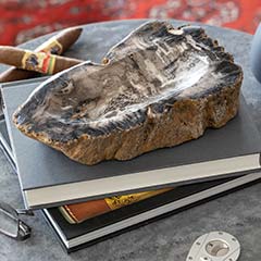 Petrified Wood Catch-all Image 3