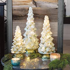 Frosted Glass Lit Trees Image 1