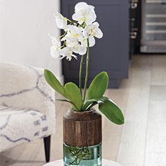 Contemporary Wood & Glass Vase Image 1