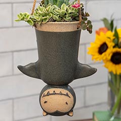 Hanging Bat Succulent Image 2