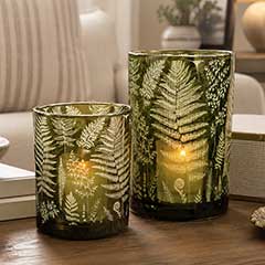 Emerald Fern Hurricanes Image 2