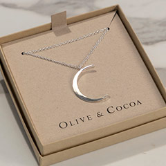 Crescent Moon Silver Necklace Image 3