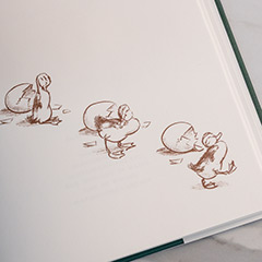 Mallory Mallard & Storybook Image 5